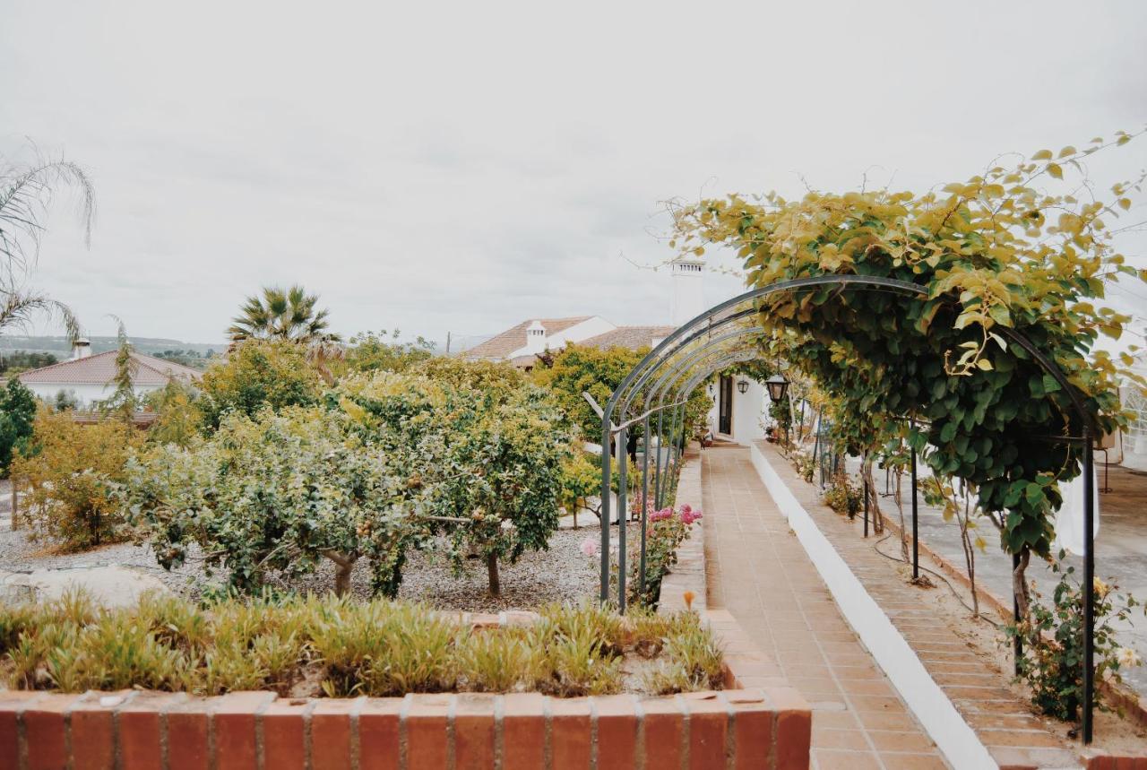 Quinta De Sao Pedro De Tomar Villa Exterior foto